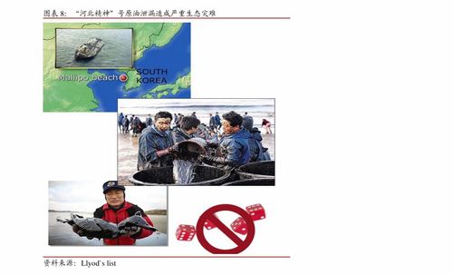 深耕行業(yè)，專業(yè)服務(wù) 明源云（0909.HK）打造地產(chǎn)信息化龍頭