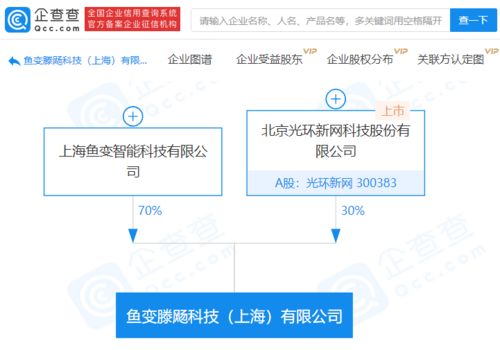光環新網攜手成立科技新公司，聚焦軟件開發領域